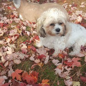 Meet your Posher, Carissa